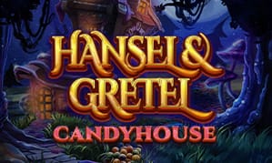 Hansel And Gretel Candyhouse Game Image